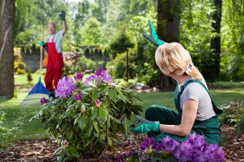 A woman wearing teal gardening gloves is crouched near flowering rhododendrons with purple blossoms in a well-maintained backyard garden, surrounded by green trees and shrubbery, with a grass lawn and paved pathway visible in the background. She appears to be engaging in gardening tasks such as pruning or inspecting the plants. In the background, a child in red overalls is holding a rake or garden tool, standing on the lawn amid lush, leafy trees, indicating a healthy outdoor setting typical of residential landscaping in Thamesmead. The garden is vibrant with natural tones of green, purple, and brown, and the scene suggests a bright, possibly spring or summer day with favourable weather conditions. The environment reflects a thoughtfully landscaped outdoor space suitable for gardening services offered by Lawn Mowing Thamesmead, with attention to floral and plant care in a peaceful garden environment.