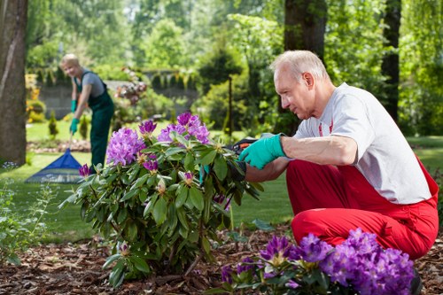 Checklist and insurance documents beside gardening tools