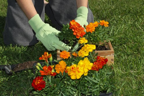 Technician trimming hedges with protective gear in an urban garden