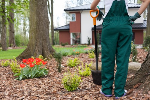 Gardener inspecting a lawn prior to mowing