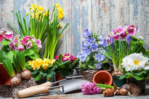 The image depicts a collection of gardening tools and potted plants set against a weathered wooden backdrop. In the foreground, several flower pots contain vibrant spring blooms including yellow daffodils with tall green leaves, pink primroses with ruffled petals, and whiteprimroses with yellow centers. Blue and purple flowers are also present, adding a splash of colour. The pots appear to be made of terracotta and woven baskets, arranged on a rustic wooden surface, with some bulbs and nursery items scattered among them. A small, green garden spade with a metal blade and a wooden-handled hand rake are placed among the plants. The scene suggests preparation for outdoor gardening, typical of a backyard or garden space near Thamesmead. The natural lighting indicates a clear day, ideal for planting or transplanting flowers, highlighting the textures of the plants, pots, and tools, with a hint of weathered wooden fencing behind, providing a subtle local context for gardening services in Thamesmead.